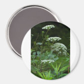 Aimant modèle magnétique rond (Recto/Verso)