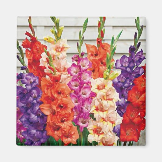 Aimant Modèle photo 2 x 2 Carré Réfrigérateur (Devant)