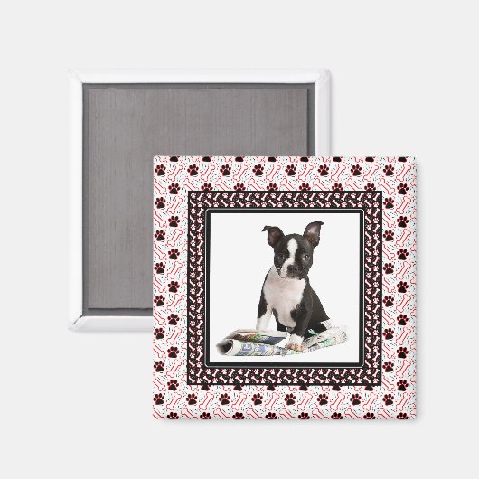 Aimant Modèle photo de chien et d'animal (Recto/Verso)
