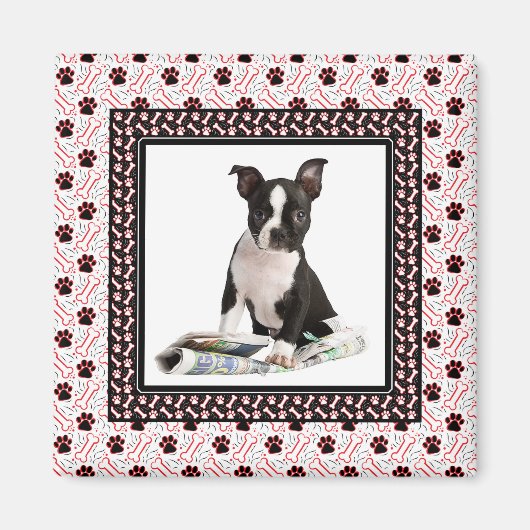 Aimant Modèle photo de chien et d'animal (Devant)