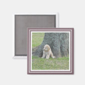 Aimant Modèle photo Moderne Cute Famille Simple Violet (Recto/Verso)