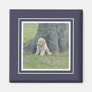 Aimant Modèle photo personnalisé bleu foncé et blanc