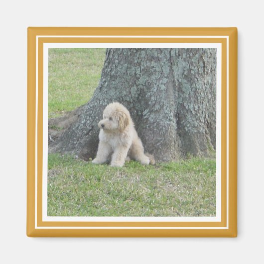 Aimant Modèle photo personnalisé jaune et blanc (Devant)