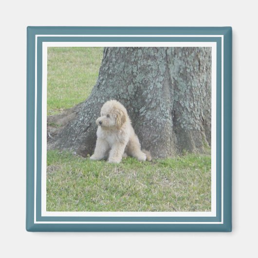 Aimant Modèle photo personnalisé Moderne Turquoise & Blan (Devant)