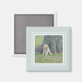 Aimant Modèle photo personnalisé Moderne Vert simple Blan (Recto/Verso)