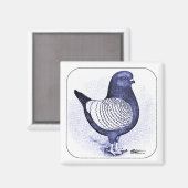 Aimant Modena Argent (Recto/Verso)