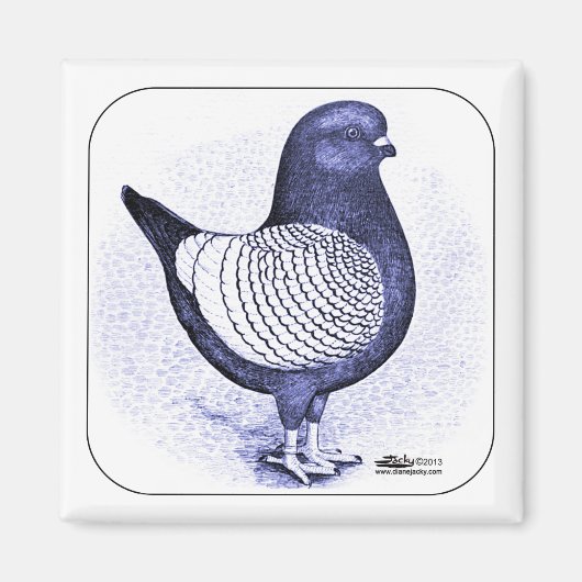 Aimant Modena Argent (Devant)