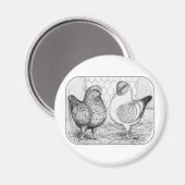 Aimant Modène deux (Recto/Verso)