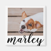 Aimant Modern Playful Simple Chic Pet Photo (Devant)