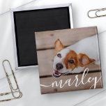 Aimant Moderne Simple Jouer Élégant Chic Pet Photo<br><div class="desc">Ce design simple et classique est composé de typographie serif et d'ajouter une photo personnalisée de votre animal de compagnie.</div>