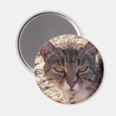 AIMANT MOGÈNE (Recto/Verso)