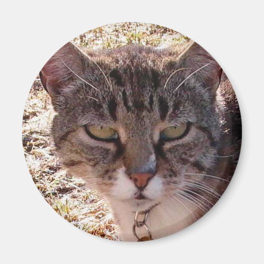 AIMANT MOGÈNE (Devant)