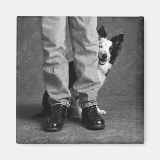 Aimant Moi et mon ombre - Collie Dog (Devant)