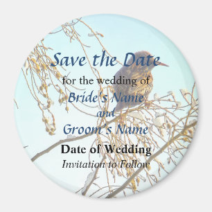 Aimant Moineau sur des économies de branche d'hiver la