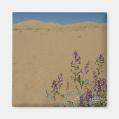 Aimant Mojave Indigo Bush et Kelso Dunes (Devant)
