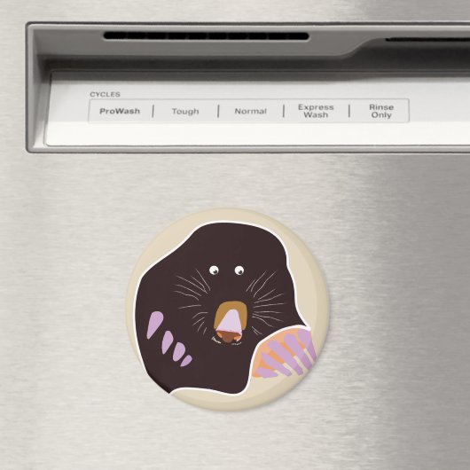 Aimant mole (In Situ (Lave-vaisselle))