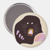 Aimant mole (Recto/Verso)