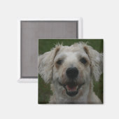 Aimant Mollywog, l'aimant du chien (Recto/Verso)