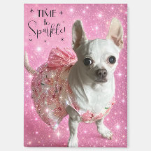 Moment de briller chihuahua mignon en robe