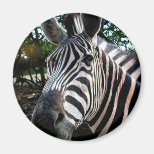 Aimant Mon ami strippy