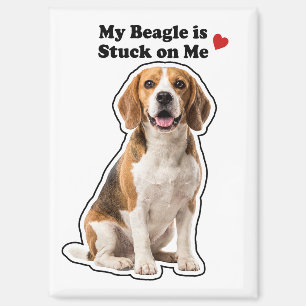 Aimant Mon Beagle Est Collé À Moi Amoureux De Chien Migno