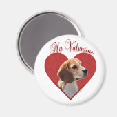 Aimant Mon Beagle Valentine (Recto/Verso)