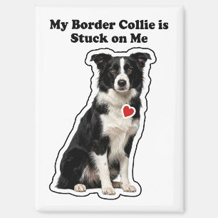 Aimant Mon Border Collie est accroché à moi Amoureux des