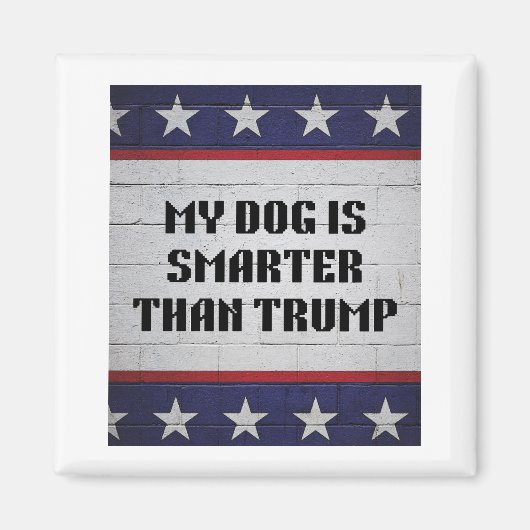 Aimant Mon Chien Est Plus Intelligent Que Trump (Devant)