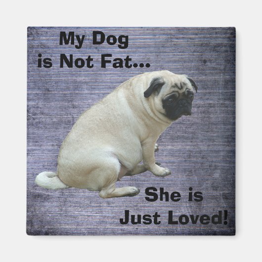 Aimant Mon chien n'est pas un Carlin gras (Devant)