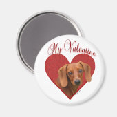 Aimant Mon Dachshund Valentine (Recto/Verso)