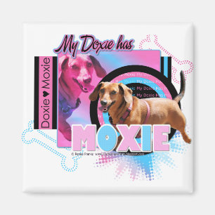Aimant Mon Doxie a du cran
