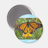 Aimant Mon papillon monarque (Recto/Verso)