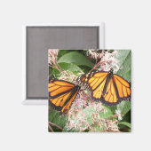 AIMANT MONARCHES MAGNIFIQUES DE GREGORY GALLO (Recto/Verso)