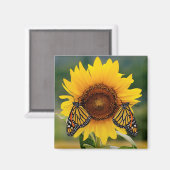Aimant Monarque Butterfies sur Tournesol (Recto/Verso)