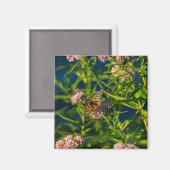 Aimant Monarque Et Milkweed (Recto/Verso)