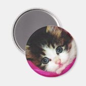 Aimant Mondes Cutest Kitten (Recto/Verso)