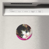 Aimant Mondes Cutest Kitten (In Situ (Lave-vaisselle))