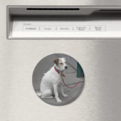 Aimant Mongrel blanc doux (In Situ (Lave-vaisselle))