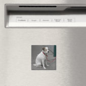 Aimant Mongrel blanc doux (In Situ (Lave-vaisselle))