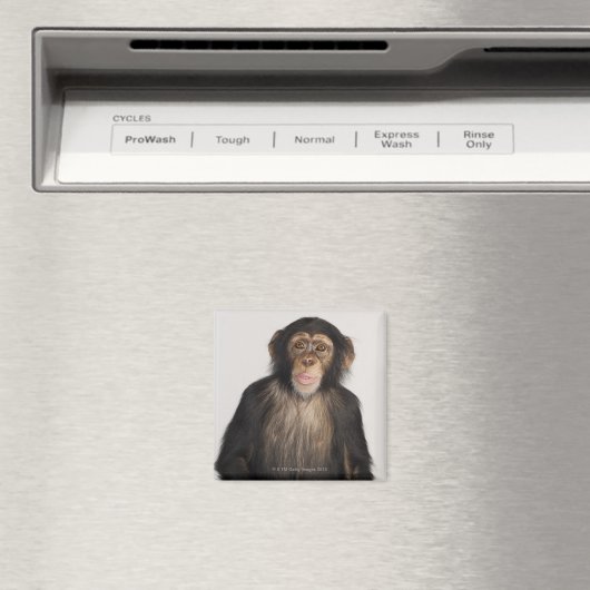 Aimant Monkey (In Situ (Lave-vaisselle))
