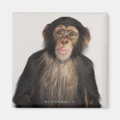 Aimant Monkey (Devant)