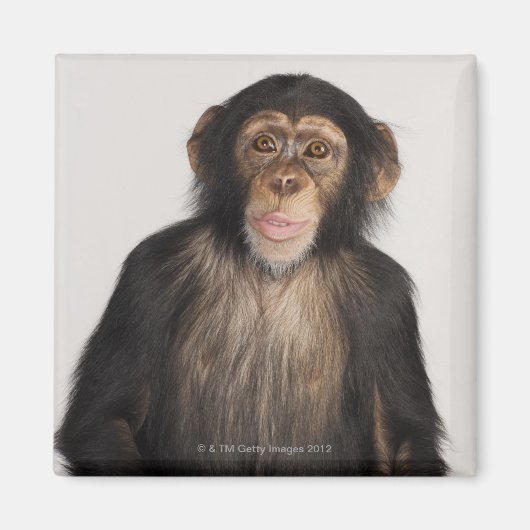 Aimant Monkey (Devant)