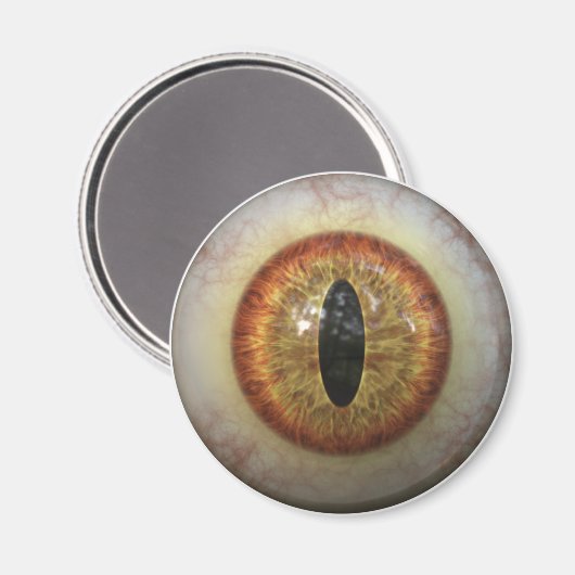 Aimant Monster Eye (Recto/Verso)