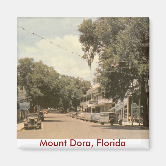 Aimant Mont Dora, Floride (Devant)