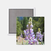 Aimant Mont Lupins (Recto/Verso)