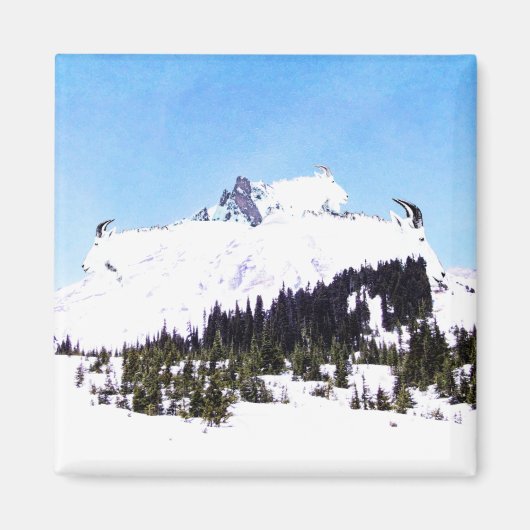 Aimant Montagne de chèvres (Devant)