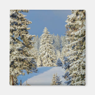 Aimant Montagne du Jura par coucher de soleil hivernal, S