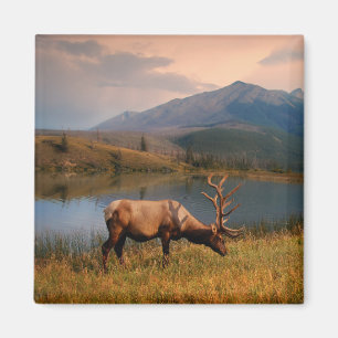 Aimant Montagnes   Jacques Mountain Range Alberta Canada