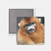 Aimant Montagnes Qinling (Recto/Verso)