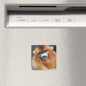 Aimant Montagnes Qinling (In Situ (Lave-vaisselle))